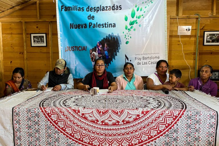 Nueva Palestina, Ocosingo, Chiapas